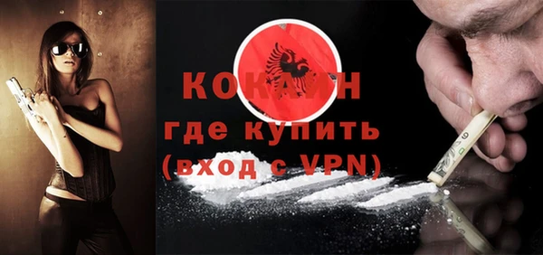 прущие грибы Волоколамск