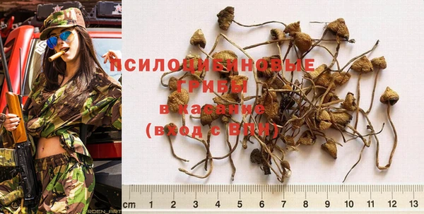 стаф Бронницы