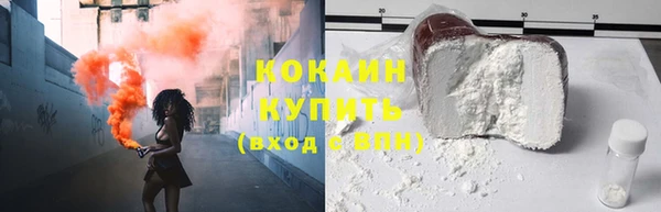 прущие грибы Волоколамск