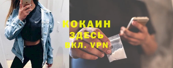 прущие грибы Волоколамск