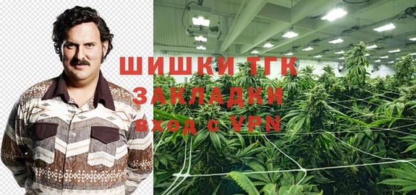 прущие грибы Волоколамск