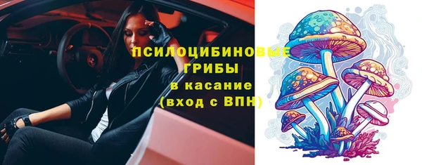 прущие грибы Волоколамск